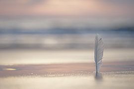 Poetry by Rik Verslype