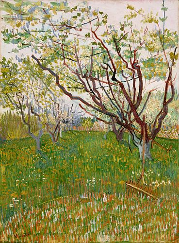 Blühender Obstgarten - Vincent van Gogh