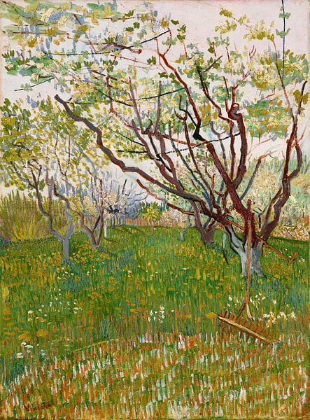 Blühender Obstgarten - Vincent van Gogh von Schilders Gilde