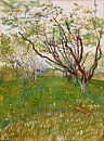 Blühender Obstgarten - Vincent van Gogh von Schilders Gilde Miniaturansicht