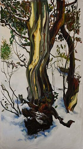 in Winter aarde en de natuur