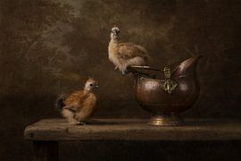 Seidenhuhn von Carolien van Schie