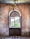 Fenêtre en déclin. par Roman Robroek - Photos de bâtiments abandonnés Aperçu