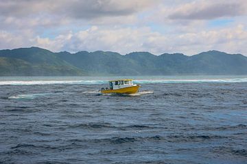Boat underway in Fiji by Carmen Kuijper