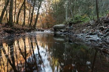 Die Hoëgne in Herbstfarben