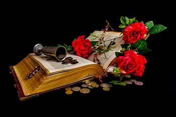 Studio still life fine-art old bible