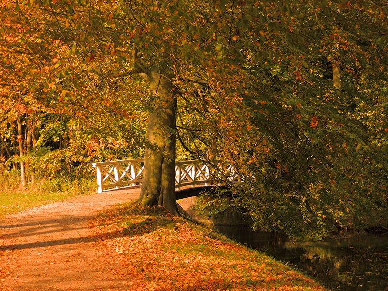 Bridge on Elswout estate by Ben Hoftijzer