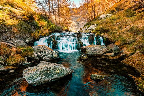 Étang de Cama - Frühling