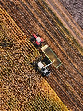 Maize harvest from the air by Nico van Maaswaal
