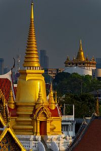 The splendour of the temple and the glow of the city