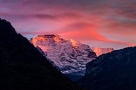 Jungfrau vanuit Interlaken in het avondlicht van Hidde Hageman thumbnail