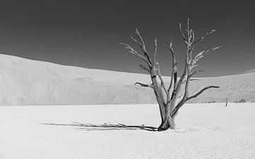 Einsamer Baum im Deadvlei in schwarz-weiß (2) von Lennart Verheuvel