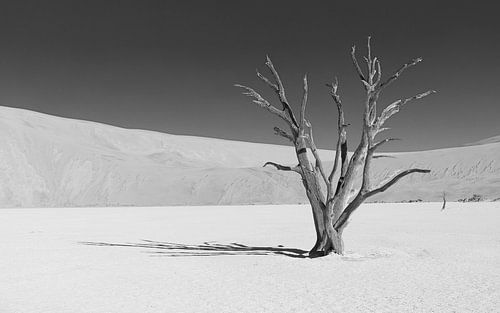 Arbre solitaire à Deadvlei en noir et blanc (2)