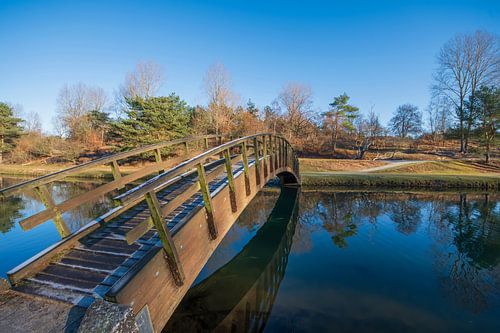 Houten bruggetje Amsterdamse waterleidingduinen