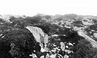 Dymond Hill Irlande