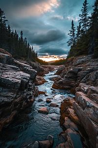 Abenteuer Natur