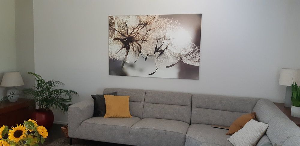 Dandelion seeds in the wind  by Julia Delgado 