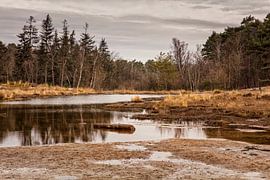 Roode Beek @ Brunssummerheide von Rob Boon