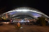 station Liëge Guillemins