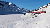 Rhätische Bahn - Berninapas - Graubünden - Zwitserland van Felina Photography thumbnail