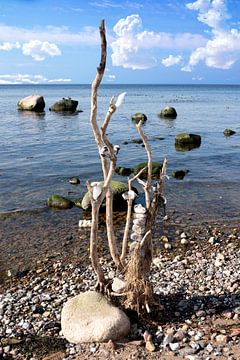 Sculpture de plage à la mer Baltique