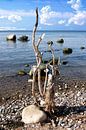 Beach sculpture on the Baltic Sea by Andreas Wemmje thumbnail