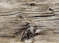 Hout 2