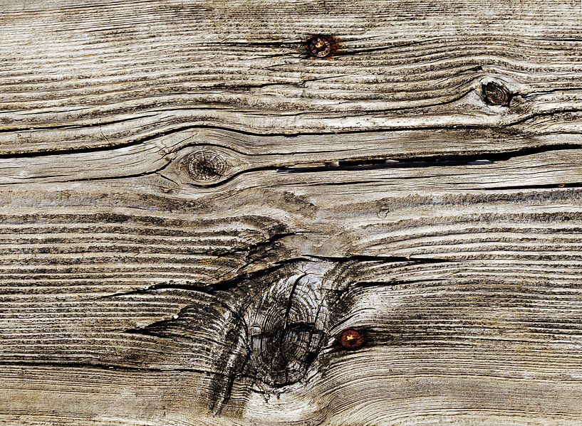 Wood 2 von Sarah Richter