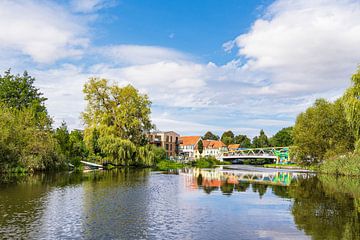 Uitzicht over de Warnow naar de stad Schwaan met brug van Rico Ködder