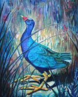 Amerikaanse Purperhoen - Vogel