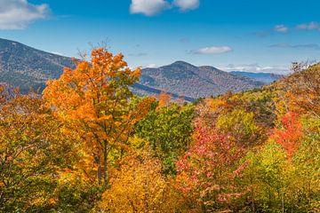 Herfst in New Hampshire van Peter Leenen