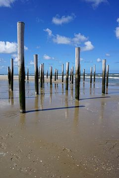 Holzpfähle am Strand von Folkert Jan Wijnstra