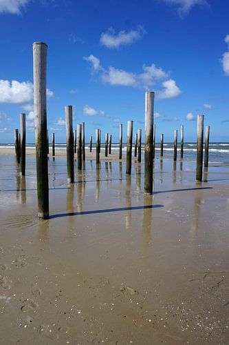 Wooden poles on the beach