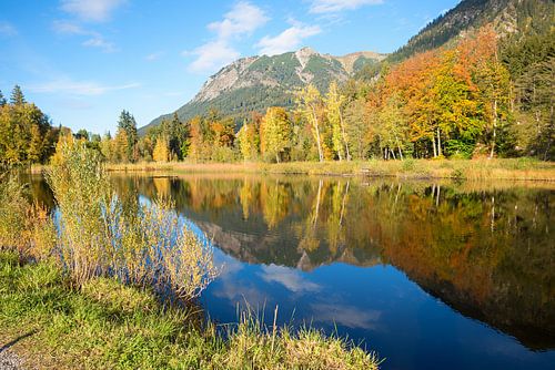 Malerischer Moorweiher bei Oberstdorf