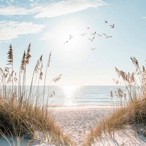 Strandblick Sonne