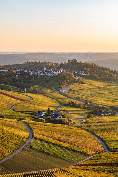 Weinberge und die Grabkapelle in Stuttgart von Werner Dieterich