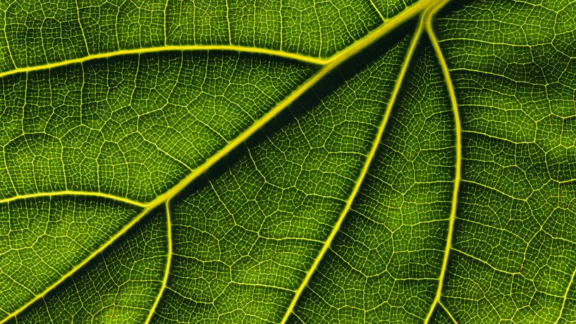 Green micro mosaic world by Saranda in 't Veld Fotografie