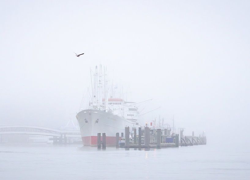 Schiff "Cap San Diego" im Hamburger Hafen von Nils Steiner