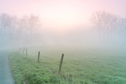 Wiese mit einem schönen Sonnenaufgang