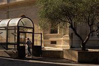Persoon met olijfboom in Avignon, Zuid-Frankrijk