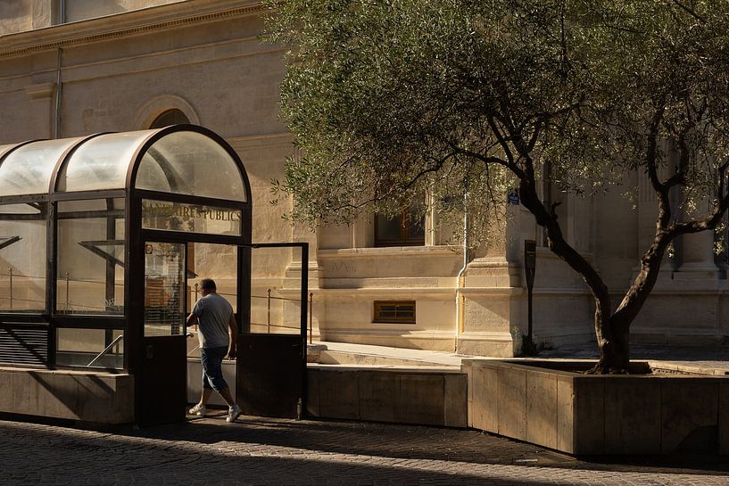 Persoon met olijfboom in Avignon, Zuid-Frankrijk van Jochem Oomen