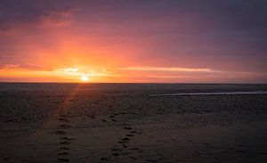 Sonnenuntergang Strand Maasvlakte
