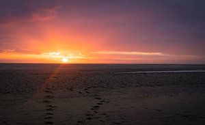 Plage du coucher de soleil à Maasvlakte sur Marjolein van Middelkoop