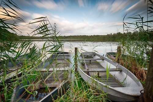 Boten tussen het riet