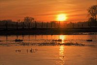 Bevroren Diest - landschap