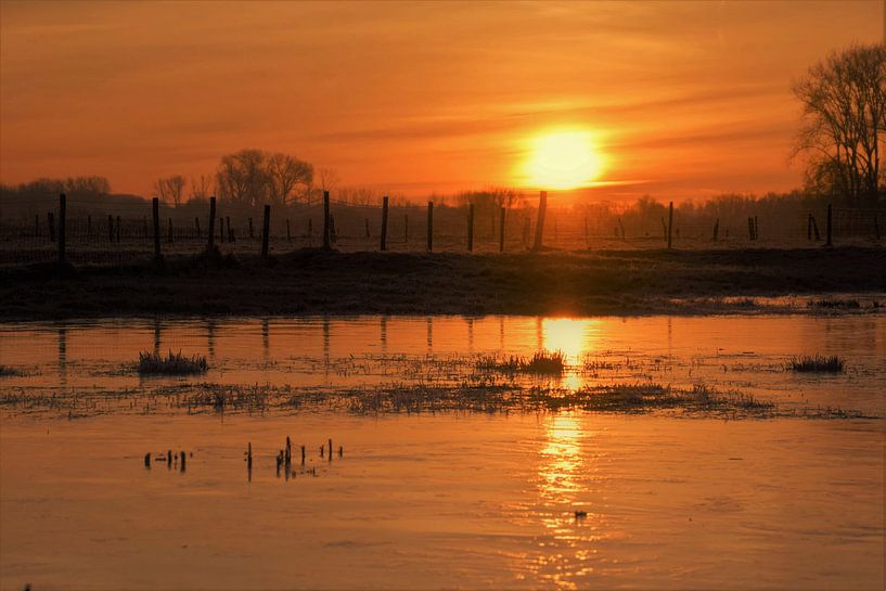Bevroren Diest - landschap von Maarten Honinx
