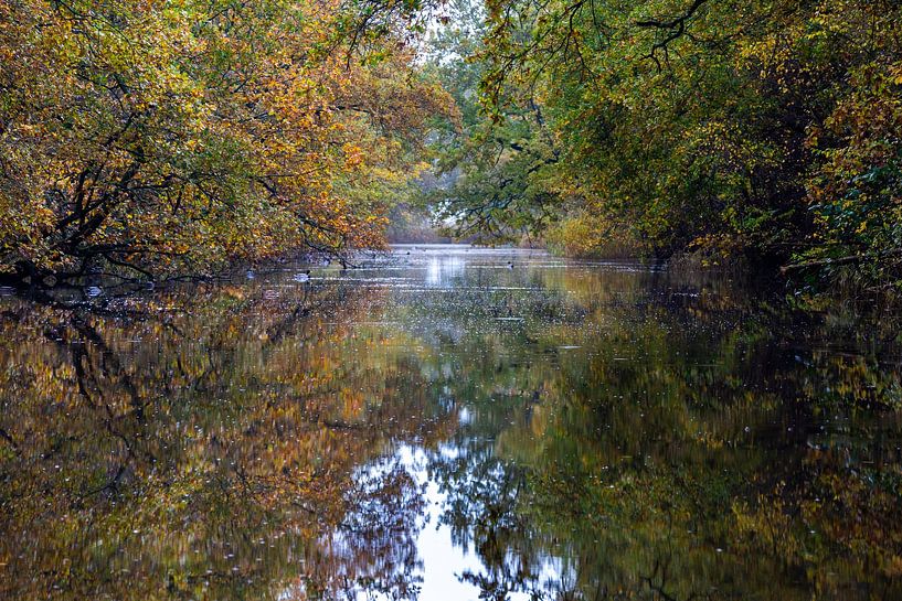 Spiegelung der Bäume in Herbstfarben im Graben des Robbenoord-Waldes von Bram Lubbers