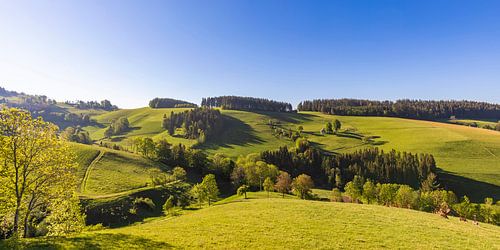 Lente bij St. Peter in het Boven-Schwarzwald
