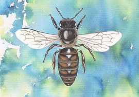 La reine des abeilles