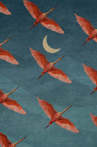 Kraanvogels aan de nachtelijke hemel